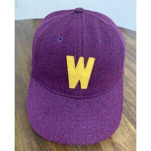 Vintage EBBETS Fields Flannels Size 7 Wool Washington Huskies Fitted Hat. READ